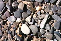 pebbles at Long Rock, Penzance